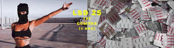 ECSTASY Дмитровск