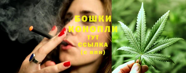 ECSTASY Дмитровск