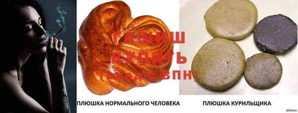 спиды Дмитров