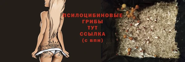 бутират Дмитриев