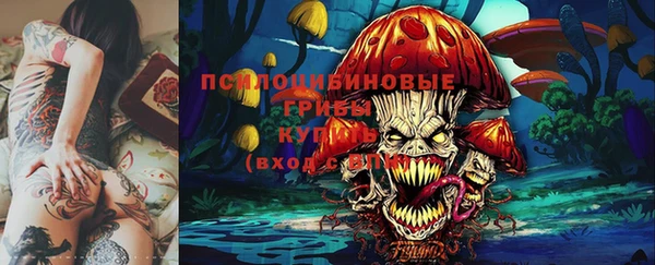 спиды Дмитров