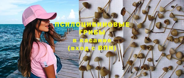 спиды Дмитров