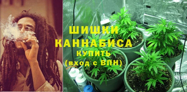 бутират Дмитриев