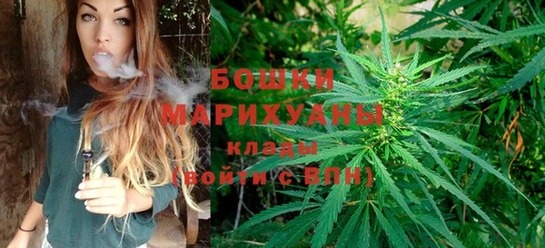 бутират Дмитриев